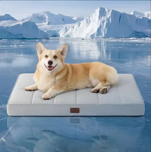 BEDSURE flat grey cooling dog mat with egg crate foam for large dogs