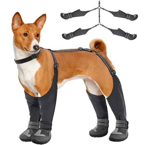 Idepet Dog Suspender Boots connecting all four paws with an over-the-back strap