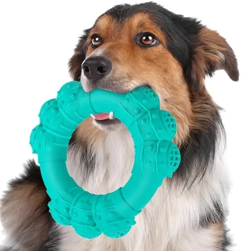 DAOZIJI green ring-shaped dog chew toy with soft thorns