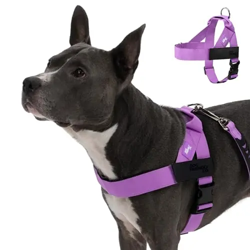 DF Co. purple dog harness with chafe-resistant webbing and adjustable straps