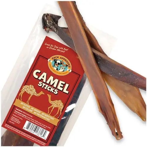 Pack Approved camel skin chews for aggressive chewing dogs