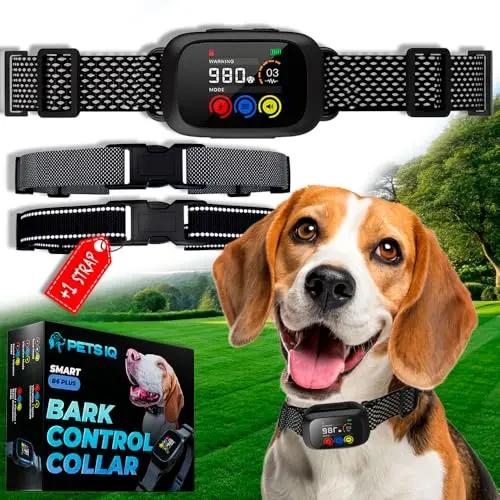 PETS IQ 2024 Bark Collar in black with Type-C charging port