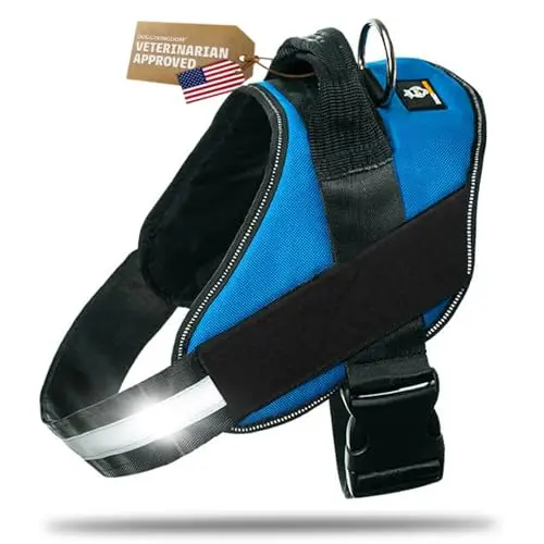 DOGGYKINGDOM dog harness with blank patch panels for customization