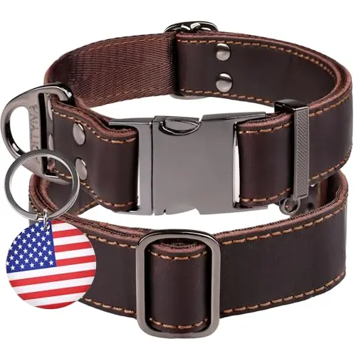ADITYNA genuine leather dog collar with sturdy metal buckle on a German Shepherd