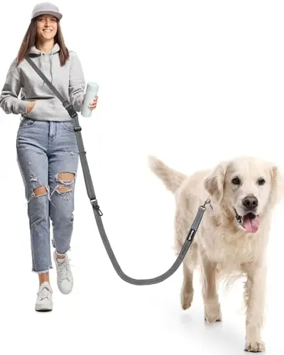 WANFIRE hands-free dog leash in grey, showing the adjustable length and integrated car safety buckle