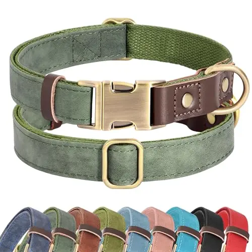 Didog green PU leather dog collar with quick-release buckle