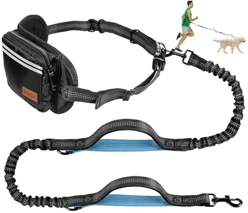 Kytely blue and black waist leash with wide padded belt and storage pouch