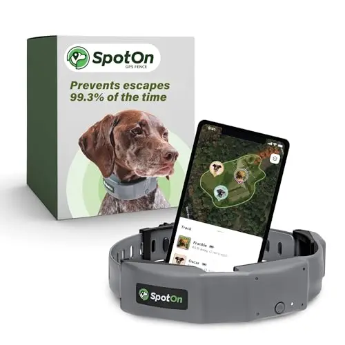 SpotOn GPS wireless dog fence collar in gray with adjustable strap