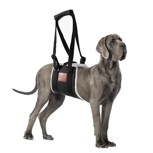 S-ETOVUS dog sling with magic tape for hind leg support in black
