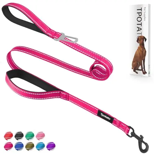 Tpotato 6-foot dog leash in fuchsia with two padded handles and reflective threads