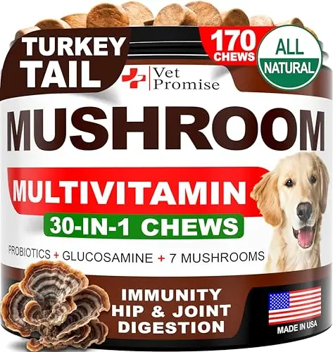 Vet Promise turkey tail mushroom chews for dogs in a bottle