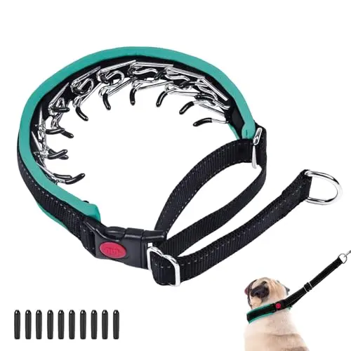 Monstoyo black and green martingale dog collar with reflective strips.