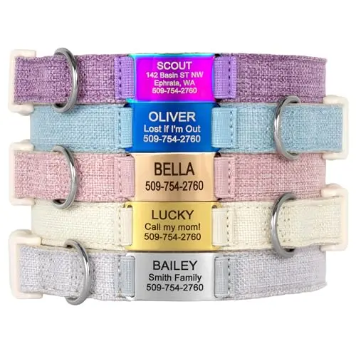 Teal colored hemp and cotton blend dog collar with a laser-engraved metal nameplate.