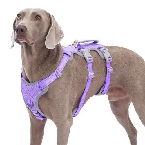 Huntboo escape-proof dog harness in Lavender Purple with reflective design and padded handle