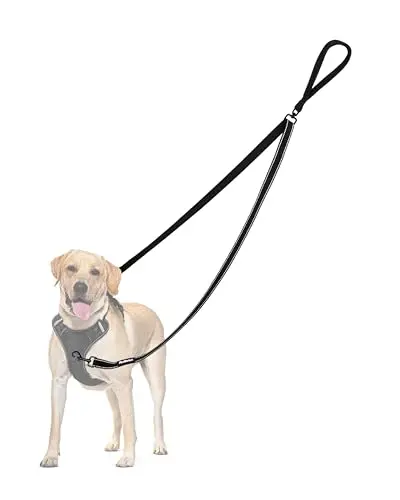 LEOSASA double dogs leash in black with splitter and bungee for walking two pets