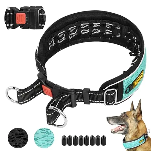 Mayerzon martingale no pull collar for large dogs in cyan