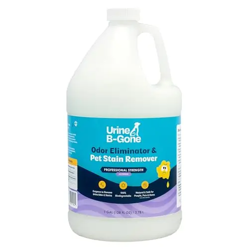 Urine B-Gone enzyme cleaner bottle with lavender scent