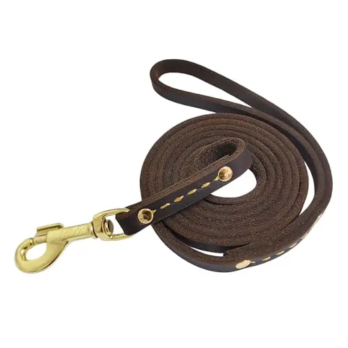 Leadfar brown thin leather dog leash for small dogs