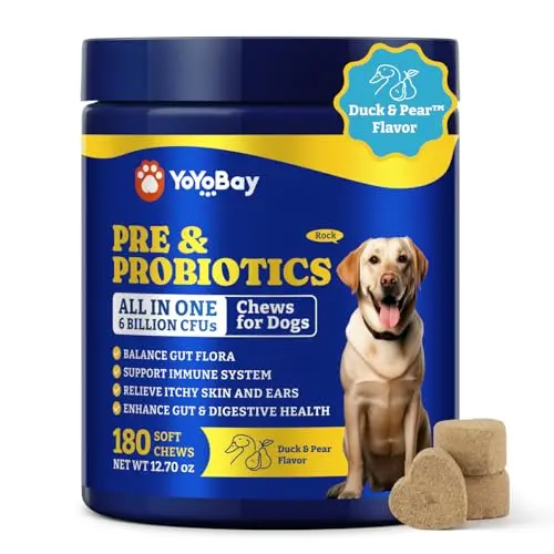 YoYoBay probiotic soft chews for dog digestive health