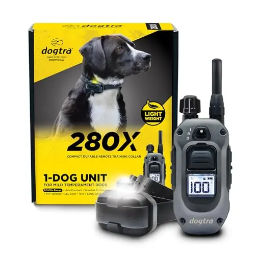 Dogtra 280X training collar with remote and LED light