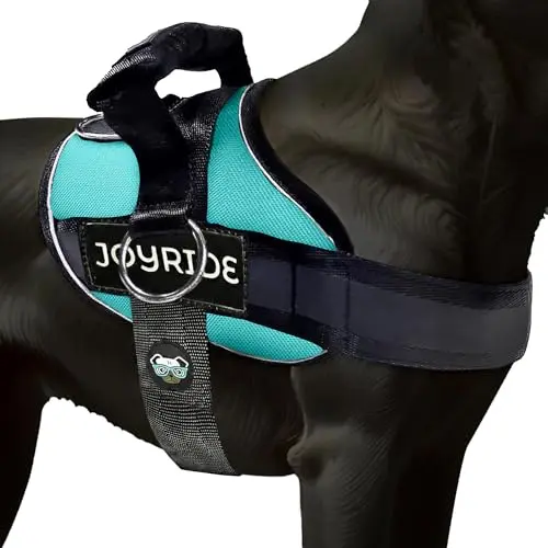Joyride Harness teal side-ring no-pull dog harness with customizable tags