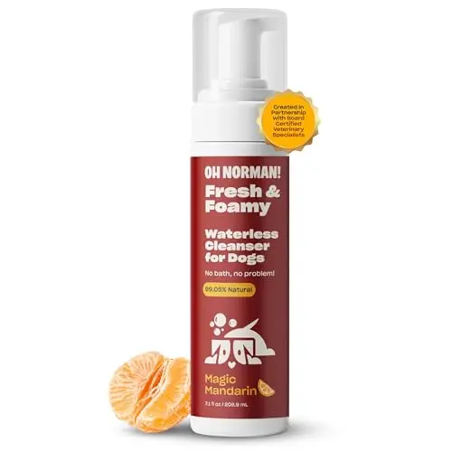 OH NORMAN! Hypoallergenic Magic Mandarin Dry Shampoo foam can