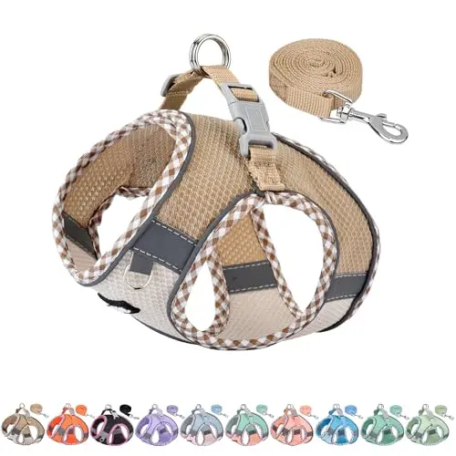 AIITLE Tiny Dog Harness in Brown-Beige on a small dog