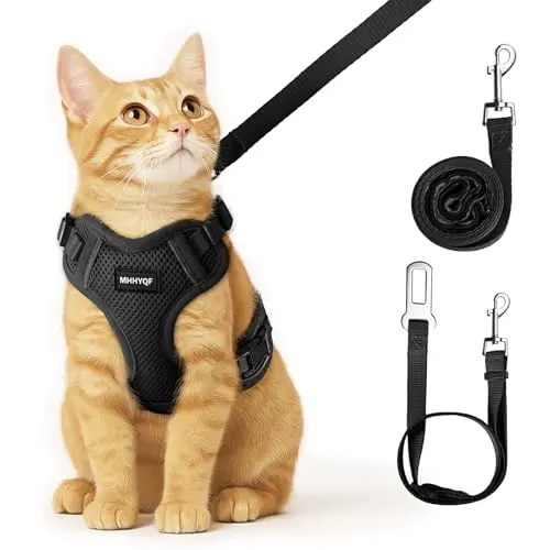 MHHYQF cat harness in black with a four-buckle adjustable system
