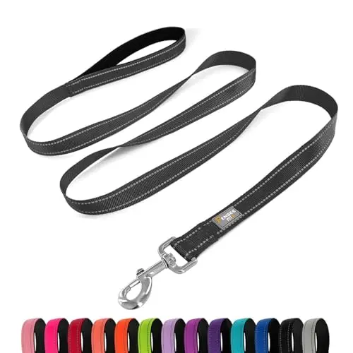 PenSeepet black reflective nylon dog leash with padded handle