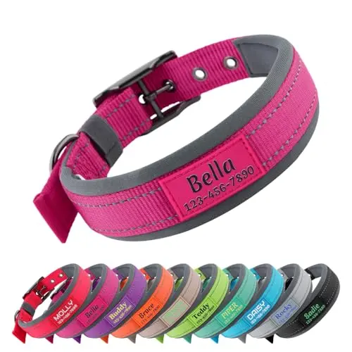 Plutus Pet personalized neoprene padded dog collar in various colors with embroidered name and phone number