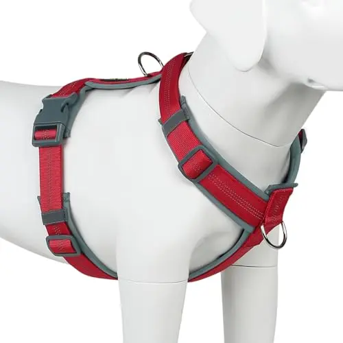 Plutus Pet Dog Harness in red with padding
