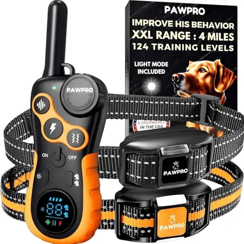 PAWPRO orange dog training collar set with two receivers and remote