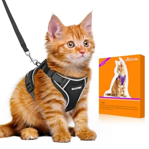 Halypet H600 Pro cat harness in black with reflective strips