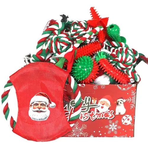 PawsAion holiday gift box containing 15 assorted rubber and rope dog toys