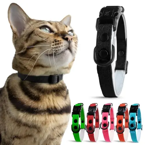 OutdoorBengal tactical breakaway cat collar in charcoal black