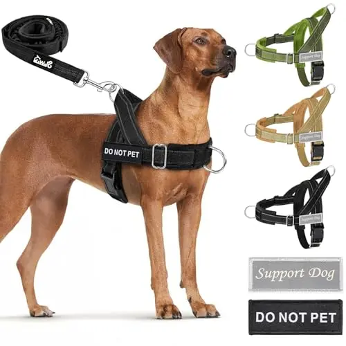 SlowTon No Pull Dog Harness and leash set in black with soft padding