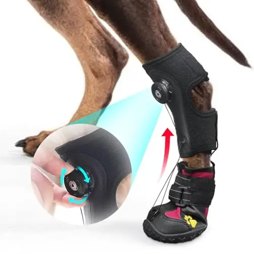 HAGGEMI Drop Foot Brace for dogs with adjustable reel and non-slip sole