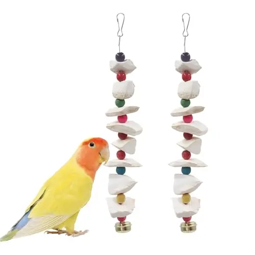 MHLLGN 2-pack bird toys with cuttlebone for beak grinding and chewing