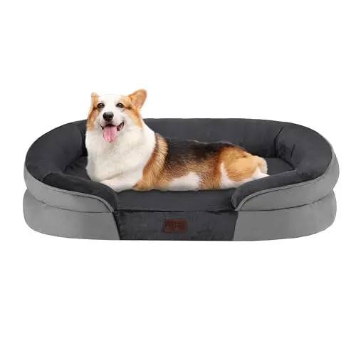 Dwanton orthopedic dog bed with gel memory foam and dark gray cover for medium dogs