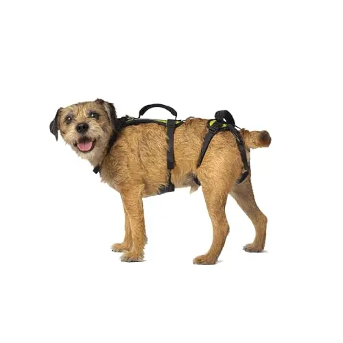 Help 'Em Up dog harness with front and rear handles for full body support.