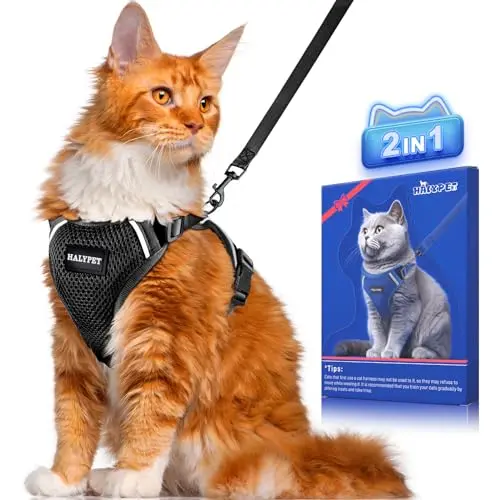 Halypet H200 Pro cat harness and leash set in black with reflective strips