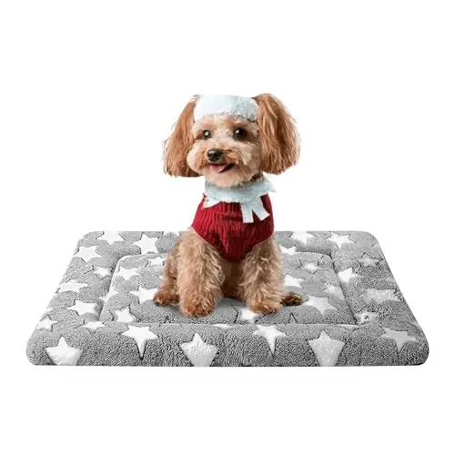 Fogkiss reversible dog bed mat with dual-sided design