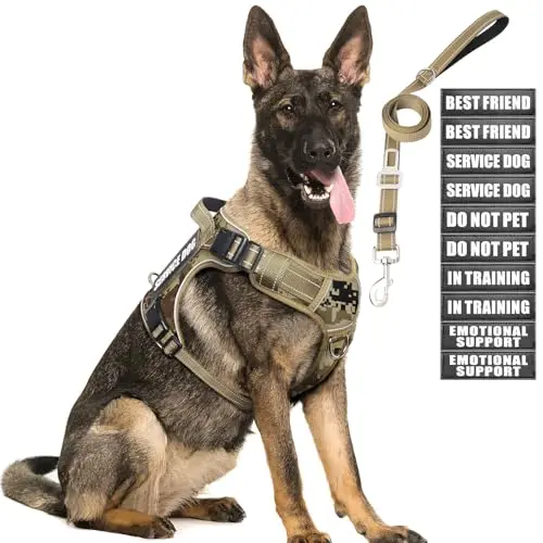 MOOGROU Desert Camo tactical dog harness set with leash and patches