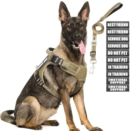 MOOGROU tactical dog harness in brown with patches, leash, and reflective strips
