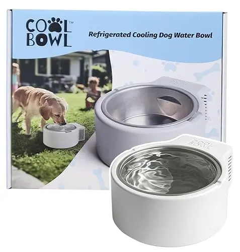 Cool Bowl white plug-in refrigerated dog water bowl