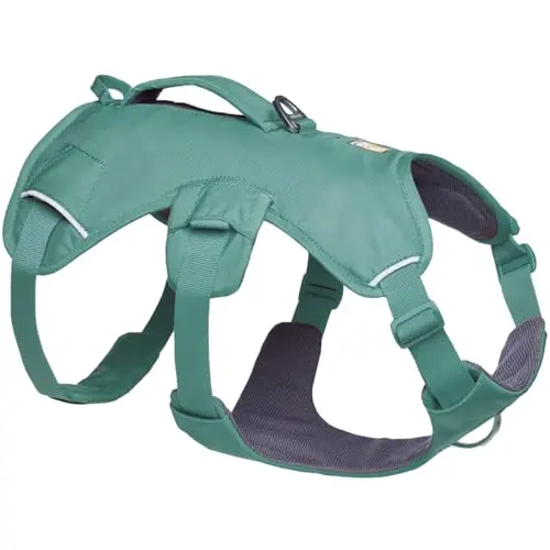 Ruffwear Web Master dog harness in River Rock Green with reinforced lift handle and multiple adjustment points