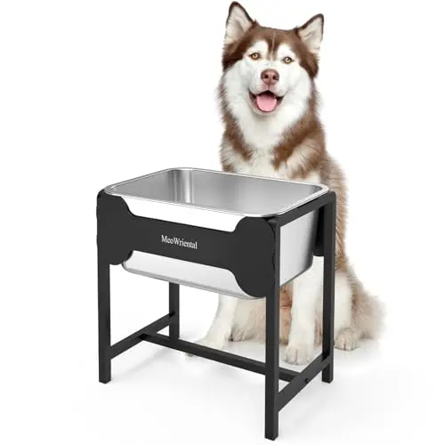 MeoWriental elevated stainless steel dog water bowl with a tall metal stand