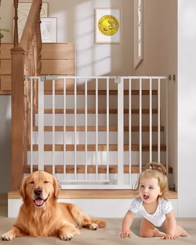 InnoTruth white dog gate with wide walk-through opening in a hallway