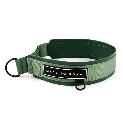Oregon Haze colored martingale-style dog collar made of vegan leather and nylon.