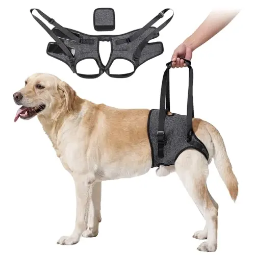 HEYWEAN dog sling for large dogs hind leg support in grey